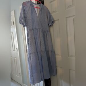 Blue Striped Everlane Maxi Dress